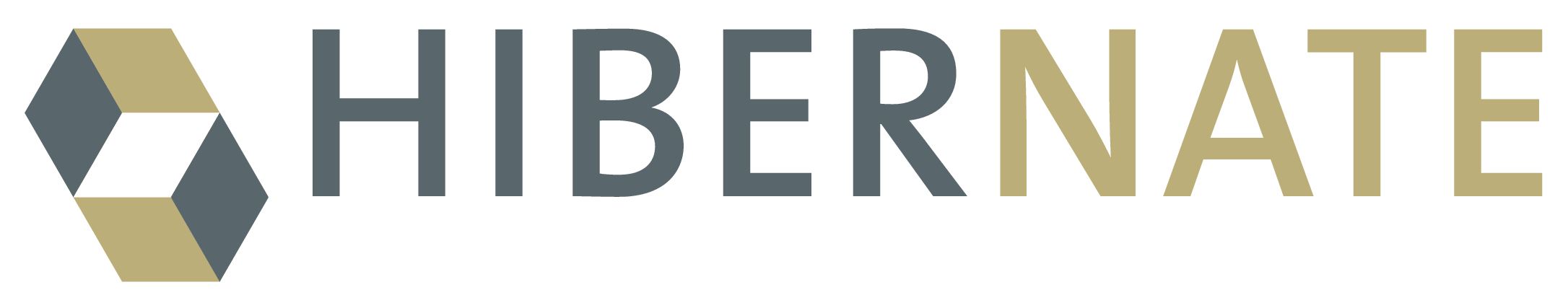 Hibernate N+1 Queries Problem.