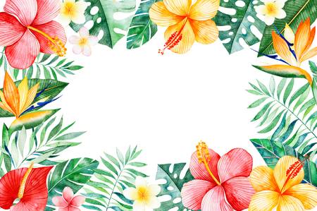2,093 Hibiscus Border Stock Illustrations, Cliparts And Royalty Free.
