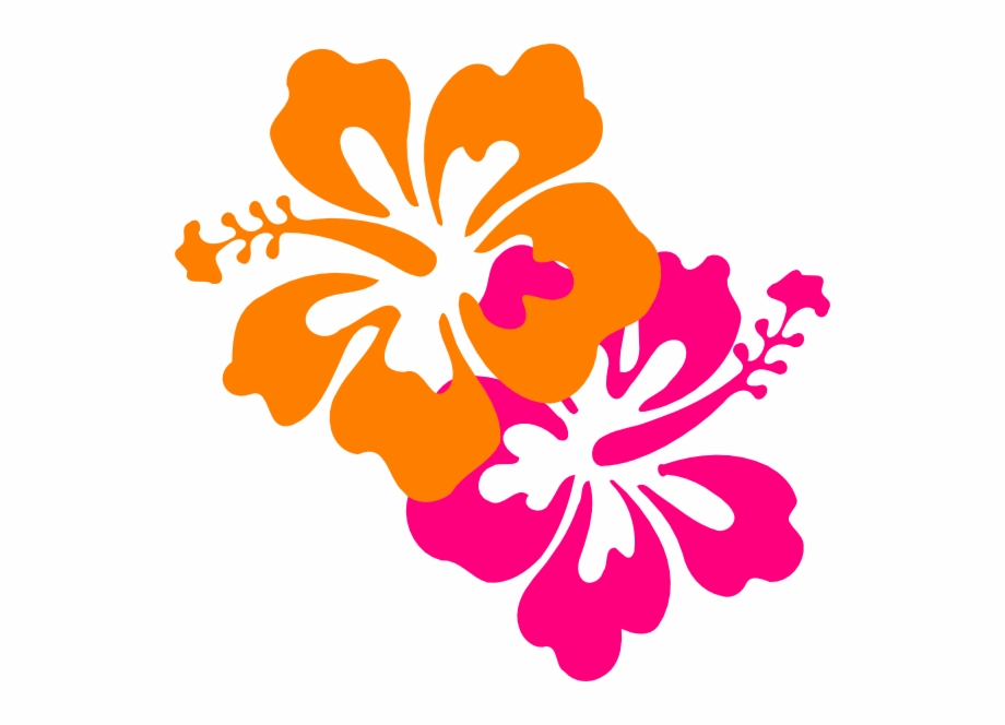 Hibiscus Images Clip Art