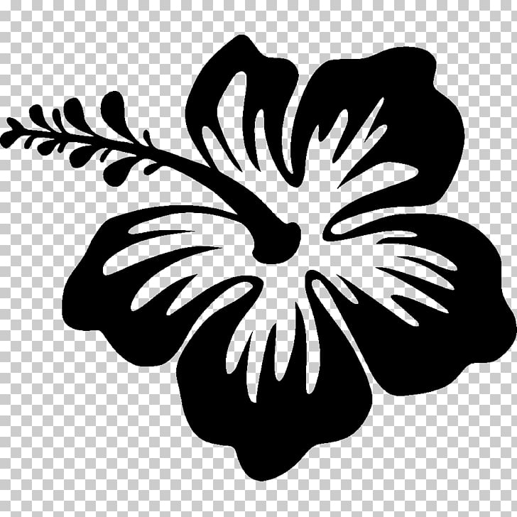 Silhouette Drawing Hibiscus, Hawaii flower, black Hibiscus.