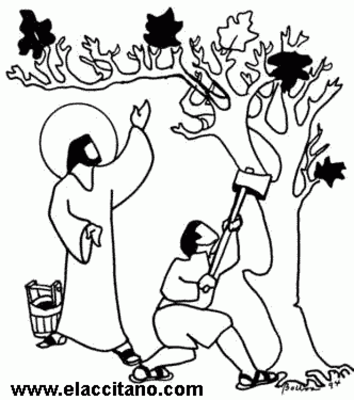 Parable Of The Sower Coloring Page.