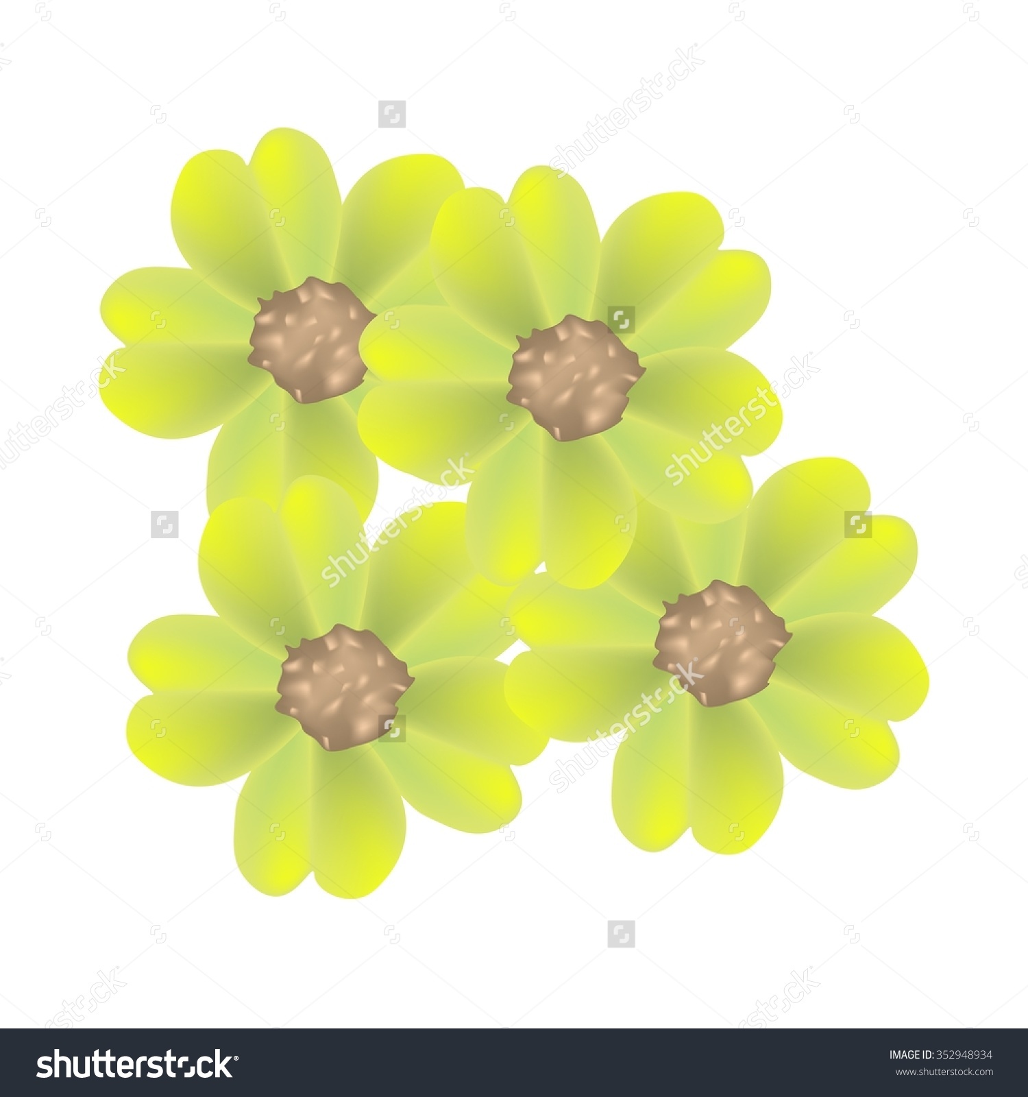 Beautiful Flower, Illustration Of Beautiful Yellow Yarrow Flowers.