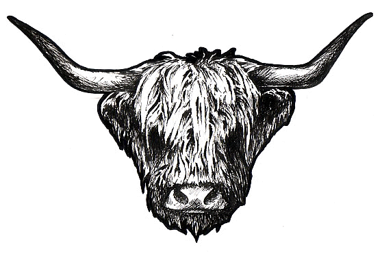 Bairnsley Highland Cattle.