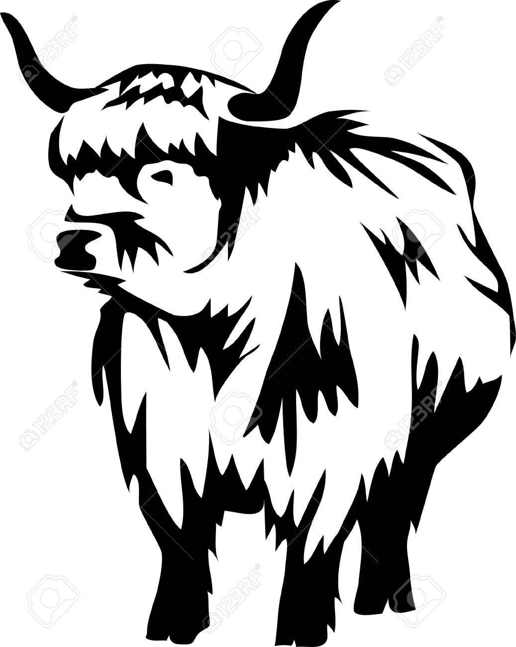Highland cattle clipart.