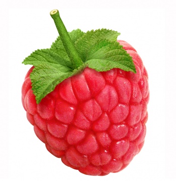 Clipart Himbeeren.