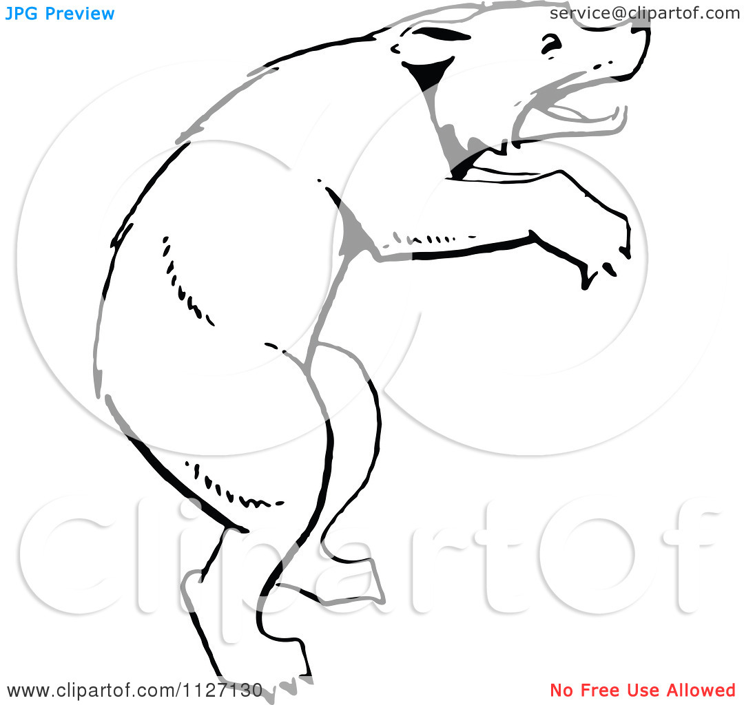 Clipart Of A Retro Vintage Black And White Bear On Its Hind Legs.