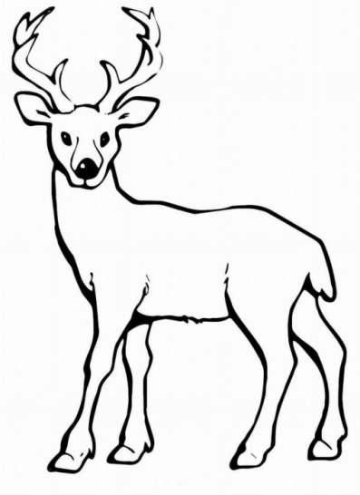 hirsch clipart 20 free cliparts  download images on