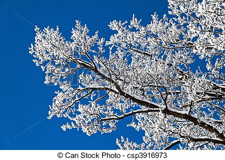 Stock Photos of Landscape with hoarfrost, frost and snow on tree.