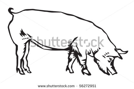 Hog clipart 20 free Cliparts | Download images on Clipground 2022