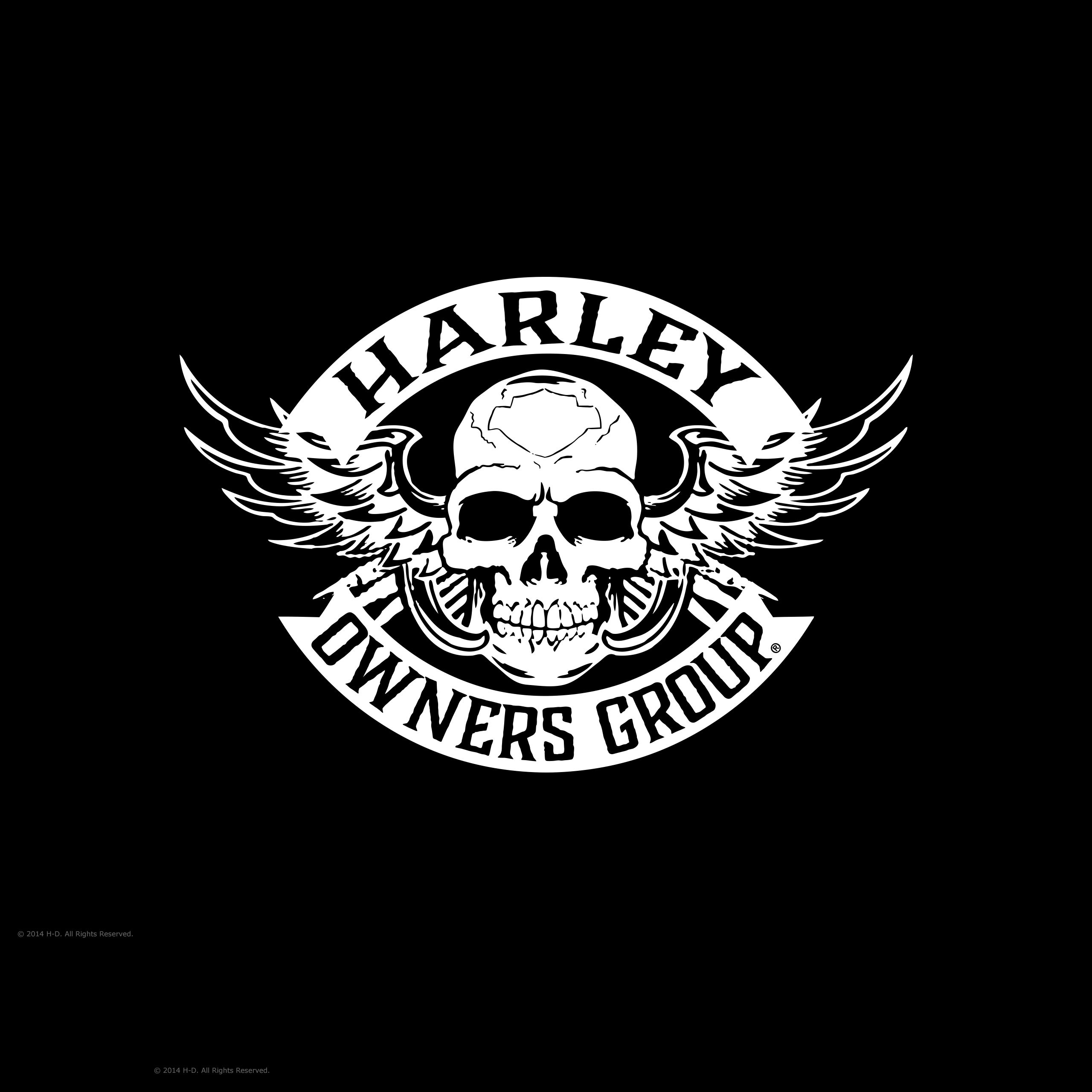 Hog перевод. Харлей Дэвидсон логотип. Harley Davidson Skull logo. Череп Харлей Дэвидсон лого. Череп Harley Davidson.
