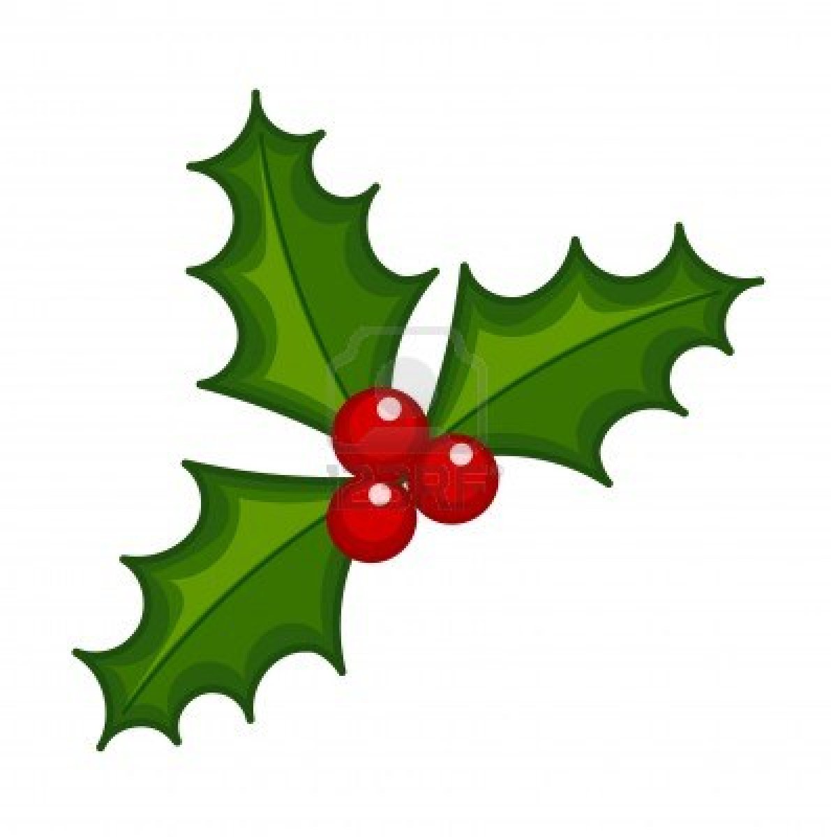 Holly Clipart & Holly Clip Art Images.