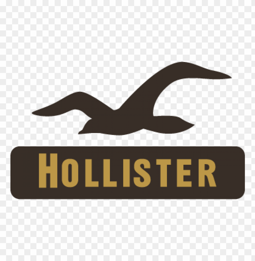 hollister co. vector logo free.