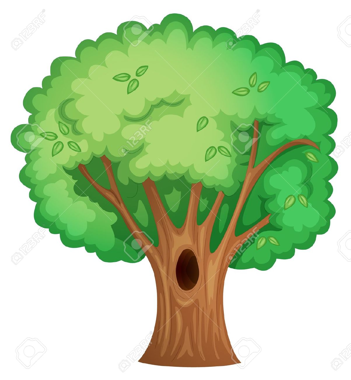 cartoon tall thin tree clipart - Clipground