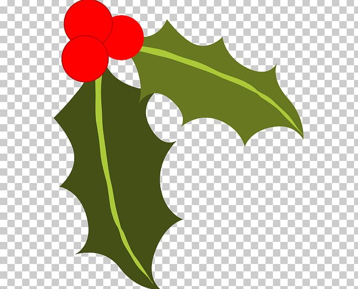 Common Holly Berry PNG, Clipart, Aquifoliaceae, Artwork, Berry, Blog.