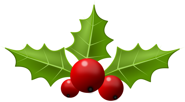 holly berry png 10 free Cliparts | Download images on Clipground 2024