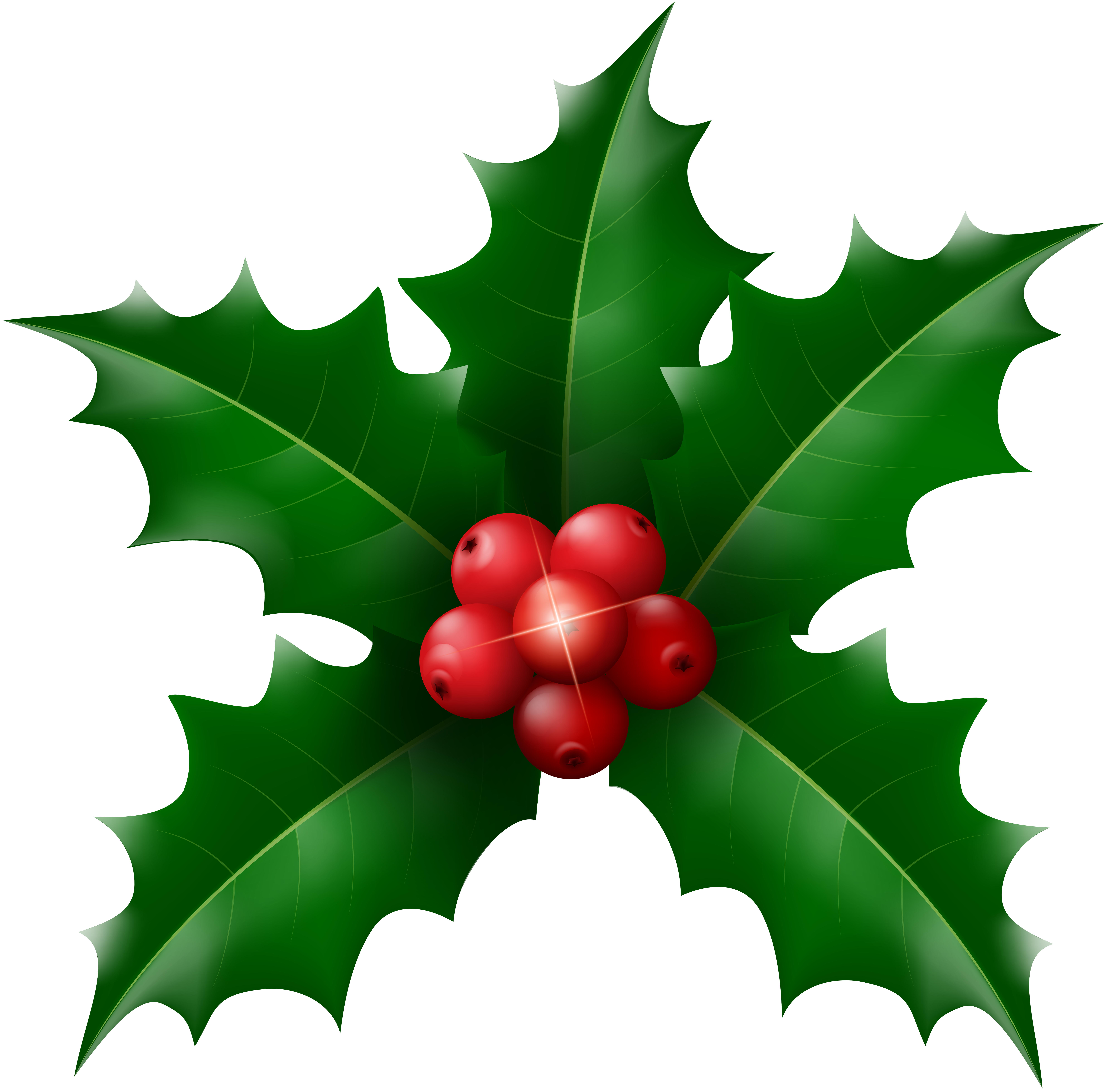 holly clip art free download 10 free Cliparts | Download images on ...