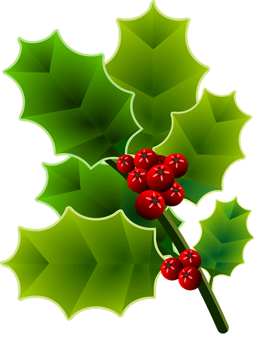 Holly branch clipart. Free download..