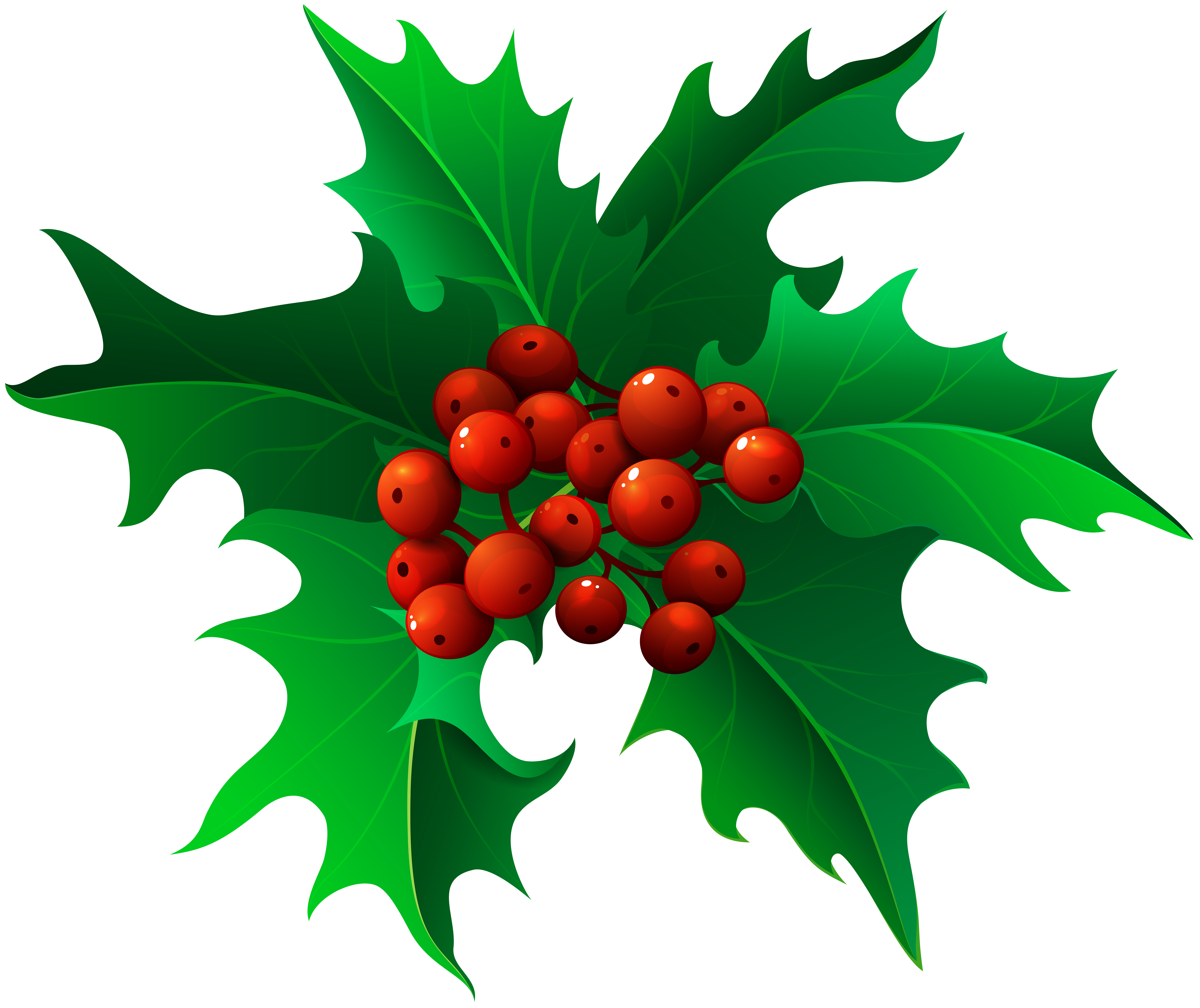 Mistletoe Christmas Clip art.