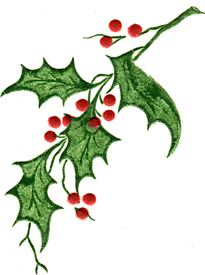 Free Holly Leaves Clipart, Download Free Clip Art, Free Clip.