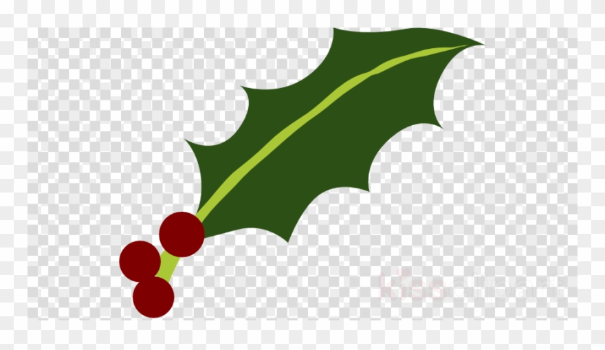 Download Holly Leaf Png Clipart Common Holly Yaupon.