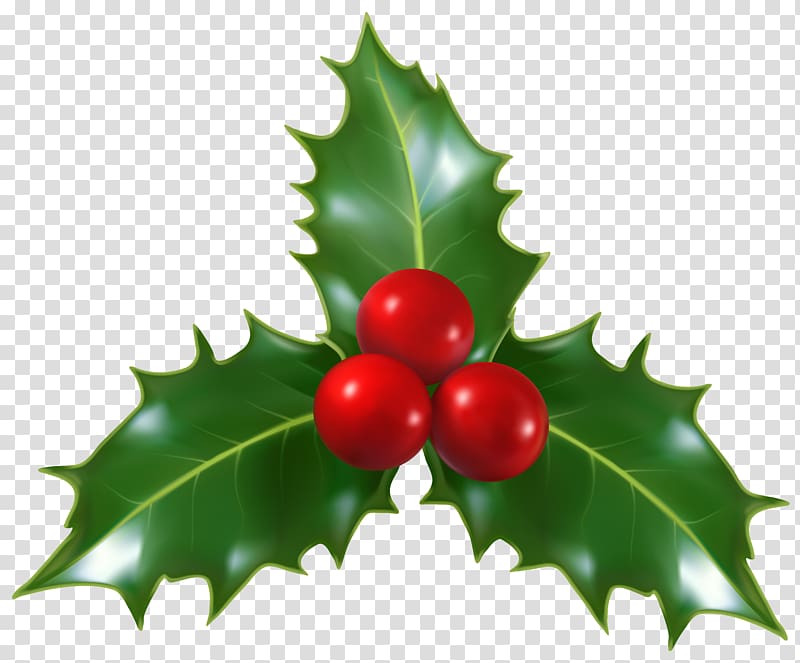 Holly Plant Clipart 10 Free Cliparts Download Images On Clipground 2023