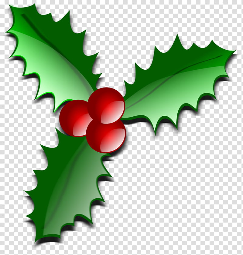 Red and green holly plant illustration transparent.