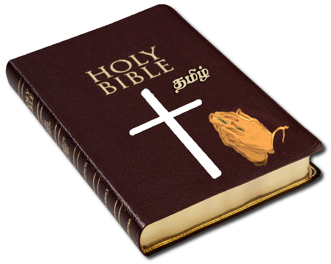 Free Image Holy Bible Free Bible Images Printable