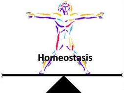 homeostasis clipart 10 free Cliparts | Download images on Clipground 2021