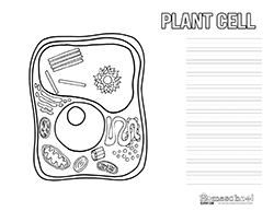 homeschool clipart plant cell 10 free Cliparts | Download images on