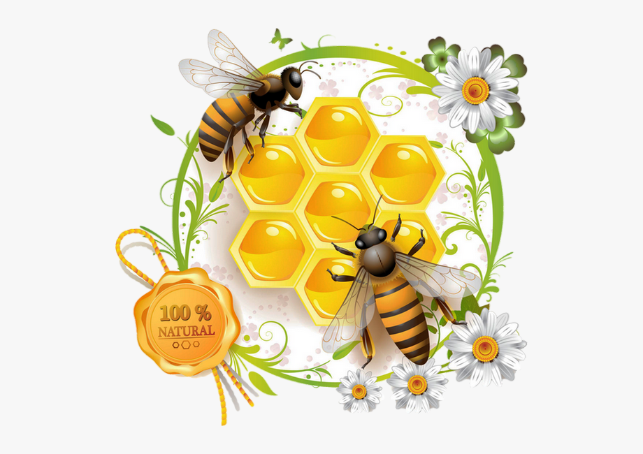 honey-bee-vector-clipart-10-free-cliparts-download-images-on