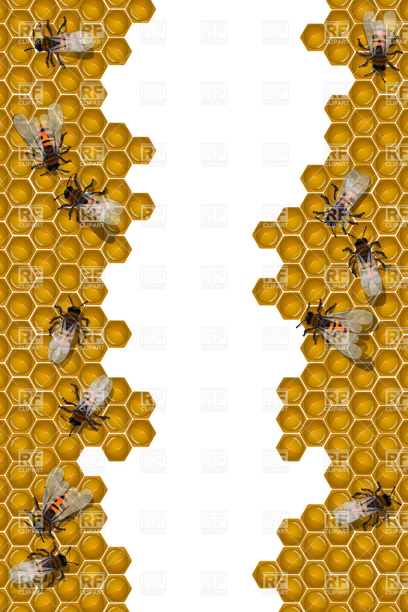 Free Bee Border Cliparts, Download Free Clip Art, Free Clip Art on.