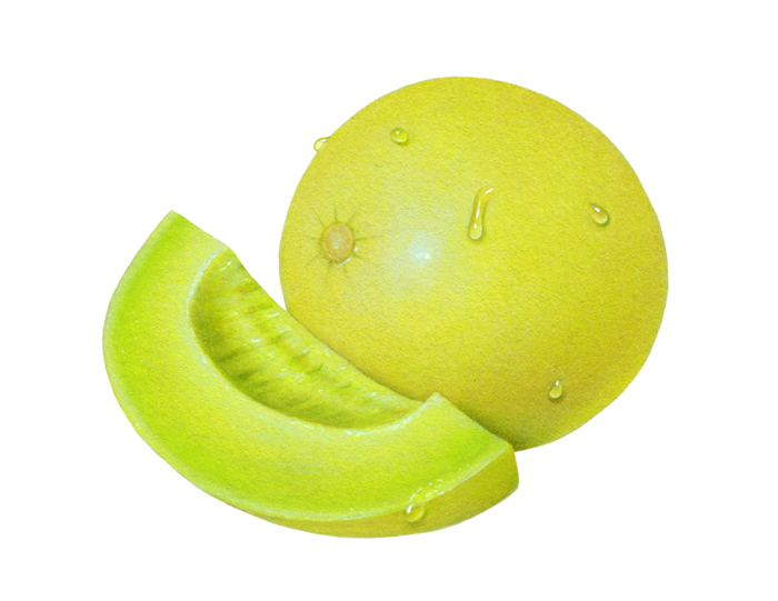 Honeydew Clipart.