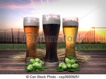 Stock Illustrations of three kinds of beer, barley, hops with hop.