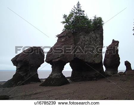 Stock Photograph of Bay of Fundy, Canada, New Brunswick, Hopewell.