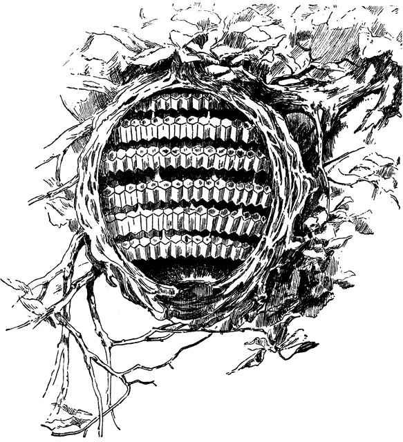 Wasp nest clipart.