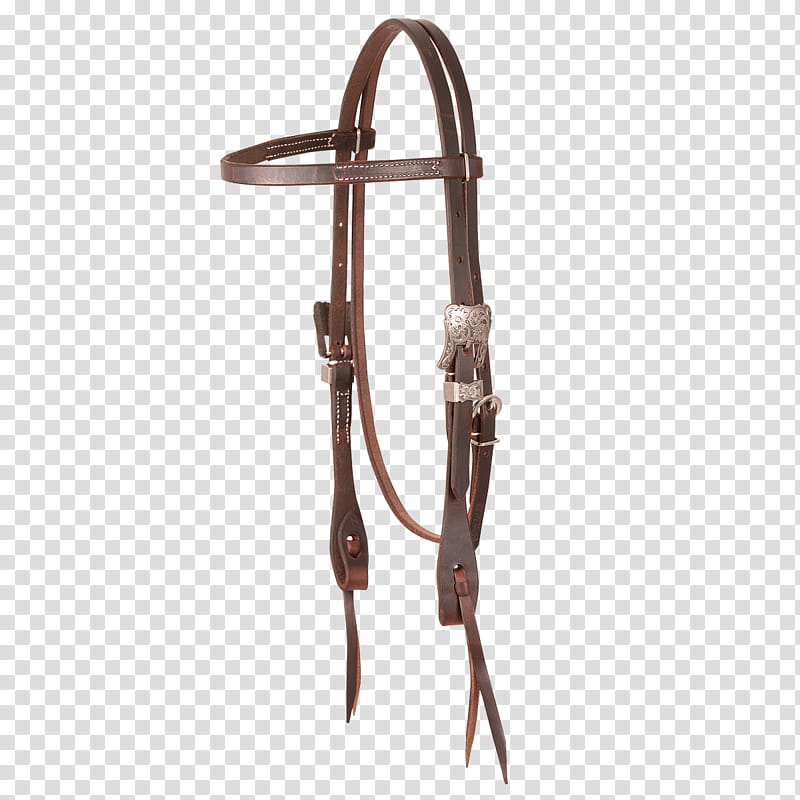 Horse, Bridle, Horse Tack, Leather, Horse Harnesses.