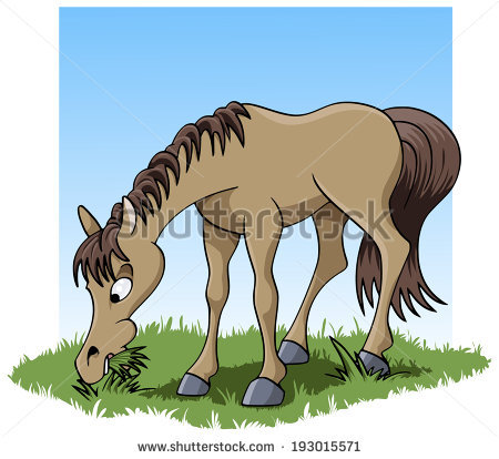 Horse feeding clipart 20 free Cliparts | Download images on Clipground 2024