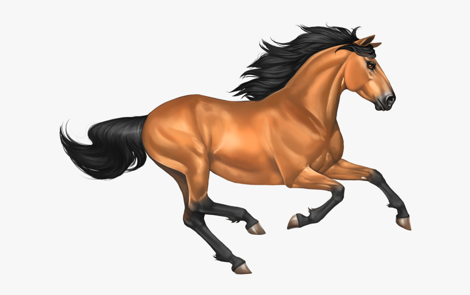 Galloping Horse Png Transparent Free Clipart Image.
