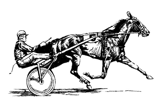 Harness Horse Clip Art
