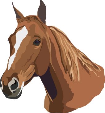 Horse Head Images Clipart.