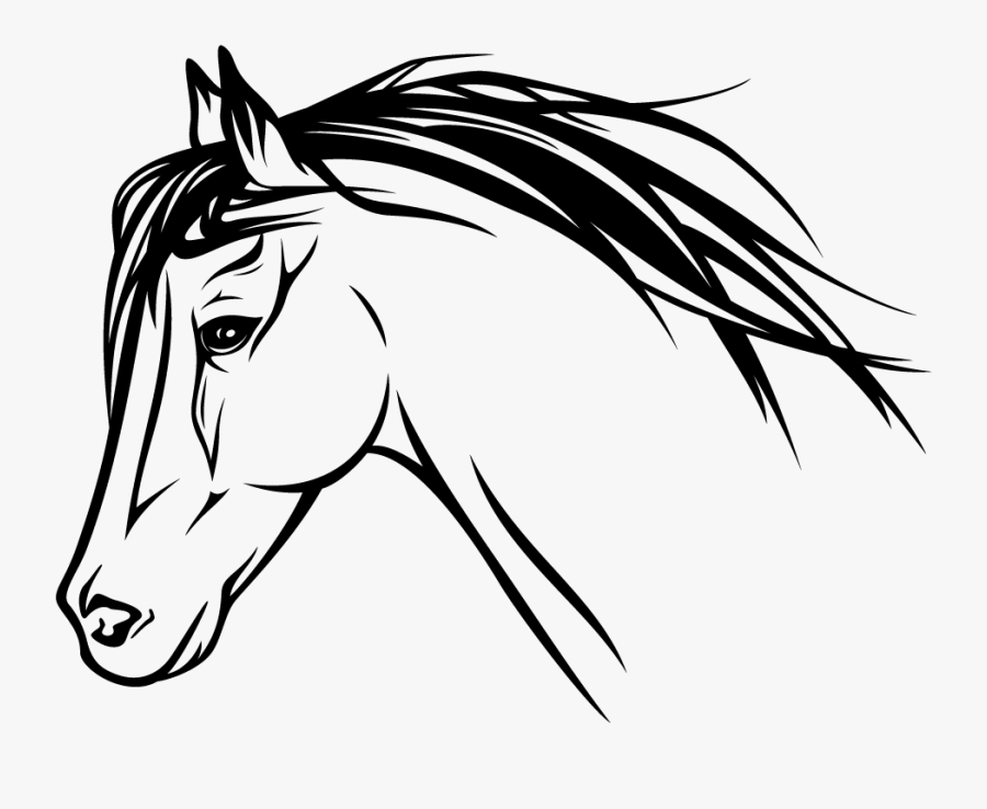 Horse Head Profile Drawing , Free Transparent Clipart.