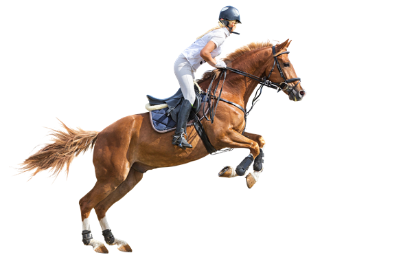 horse rider png 10 free Cliparts | Download images on Clipground 2021