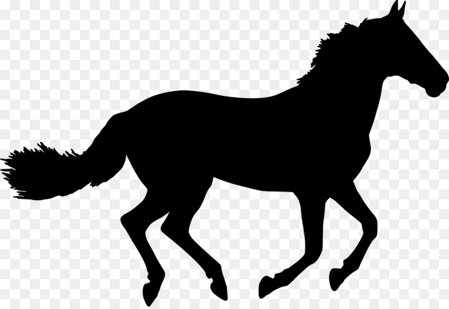 Horse Cartoon clipart.