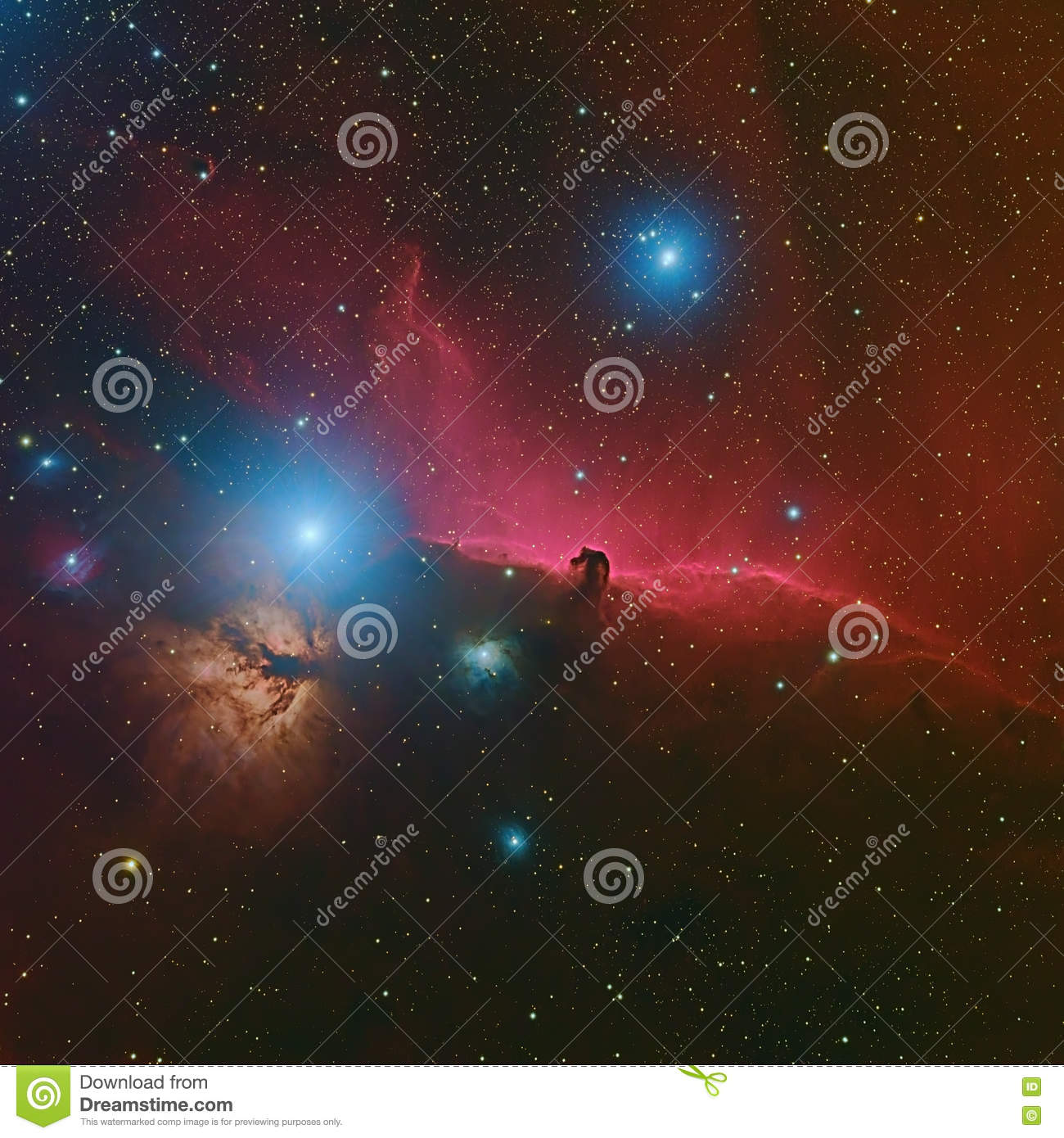 Horsehead Nebula Deep Space Beautiful Night Sky The Horsehead.
