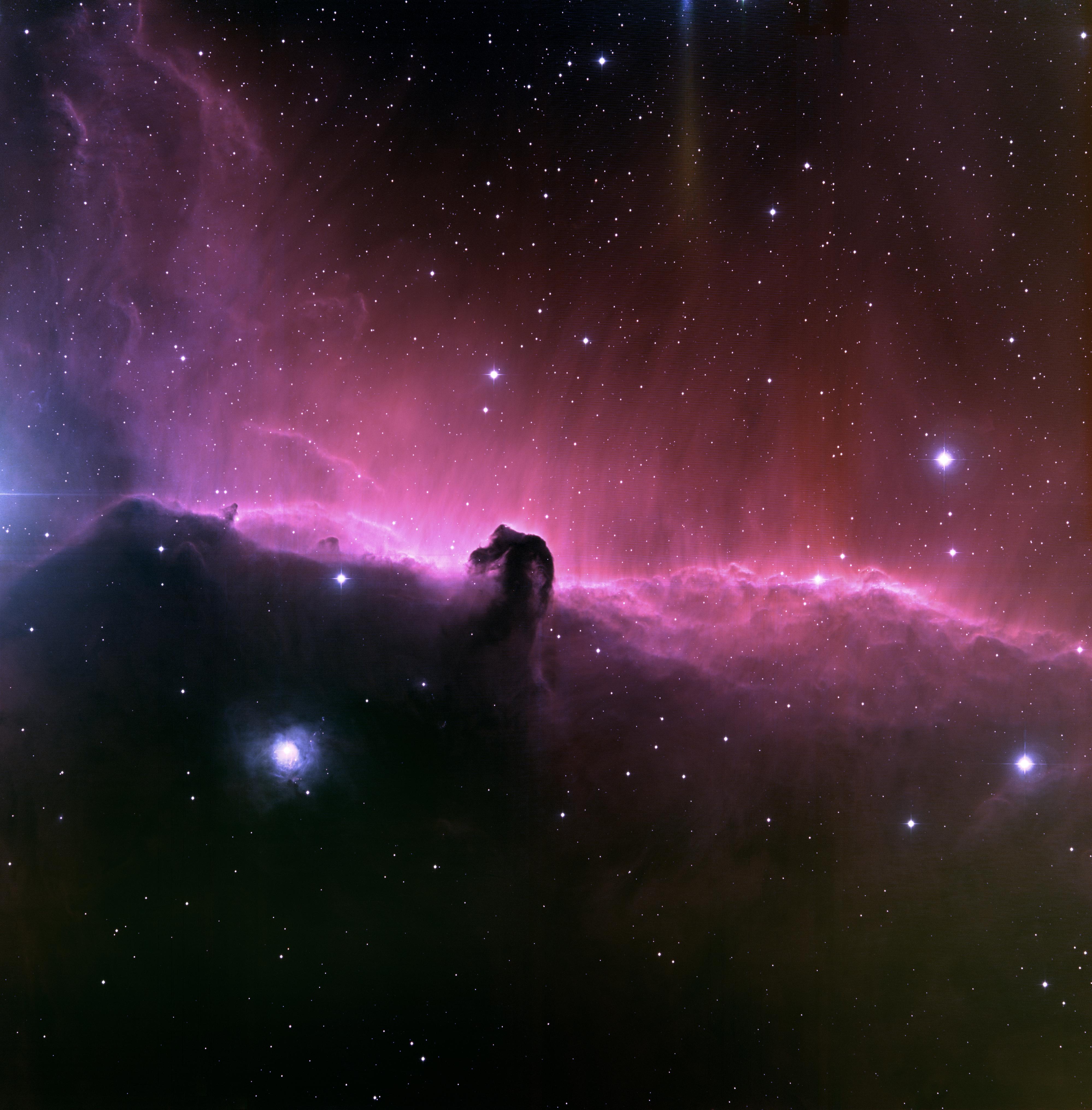 The Horsehead Nebula in Infrared from Hubble : space.