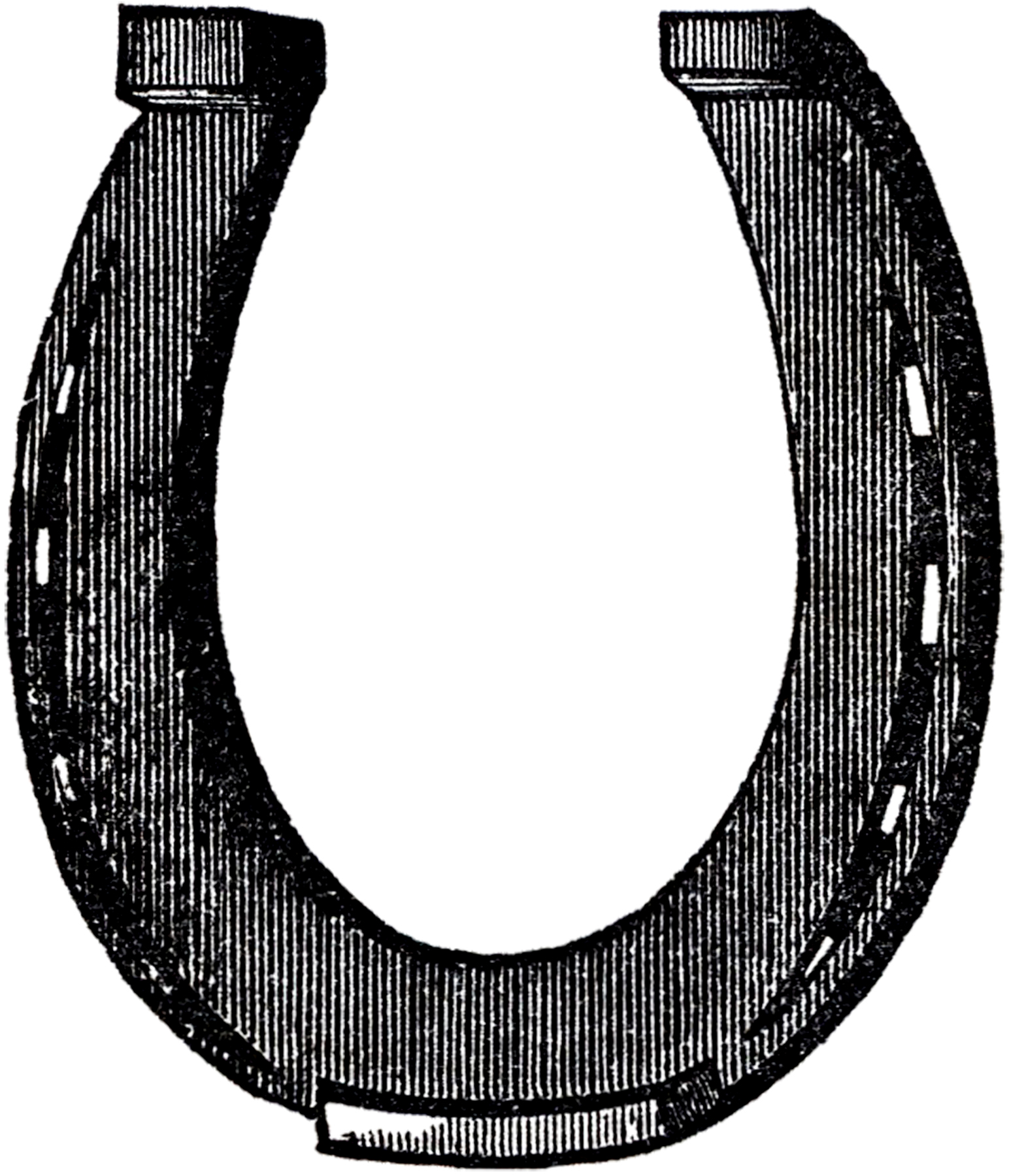 Free Horseshoe Cliparts, Download Free Clip Art, Free Clip.