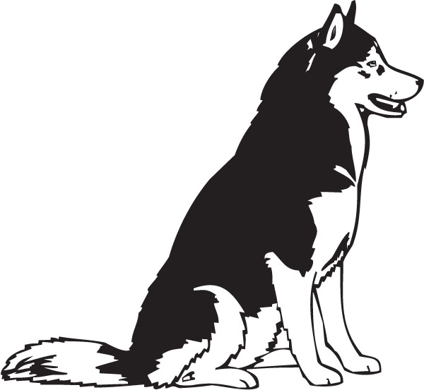 Download Husky clipart 20 free Cliparts | Download images on ...