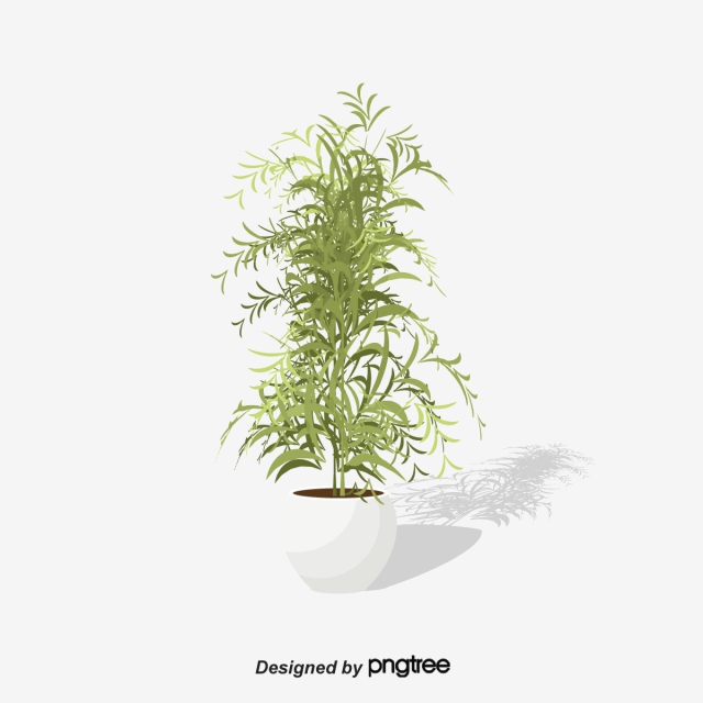 Potted Plant PNG Images.