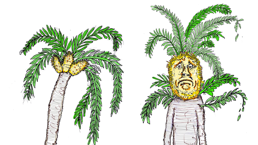 The Loneliest Plant In The World : Krulwich Wonders : NPR.