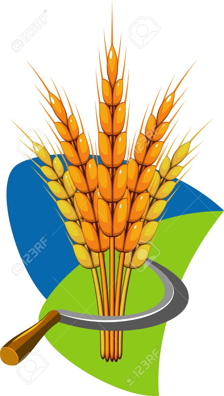 Sheaf Of Wheat And Sickle. Illustration. Royalty Free Cliparts.